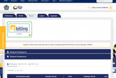 Cara Login DJP Online Tanpa EFIN
