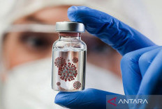 Wamenkes Tegaskan Virus Nipah Belum Masuk Indonesia, Begini Penjelasan dan Langkah Antisipasinya