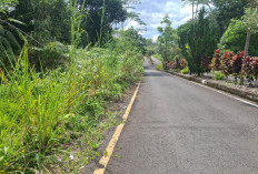 Tebas Bayang Tahap II Dilaksanakan Jelang Tutup Tahun