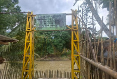 Miris! Jembatan Gantung Putus, Petani di Talang Bunut Nekat Arungi Sungai Ketahun Lebong Menuju Persawahan