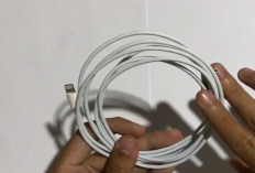 Stop Pakai Kabel KW! Kenali Ciri Kabel Data USB Lightning iPhone yang Bagus untuk Pemakaian Sehari-hari