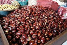 Jengkol Disebut Punya 3 Manfaat untuk Penderita Diabetes