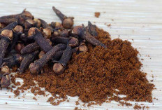 5 Manfaat Kopi Campur Cengkeh, Turunkan Risiko Serangan Diabetes