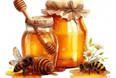 Redakan Batuk dengan Mengonsumsi 5 Makanan Ini