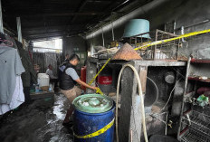 Polda Bengkulu Bongkar Dua Rumah Produksi Arak Ilegal di Rejang Lebong, Dua Pengusaha Jadi Tersangka