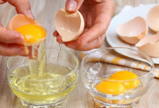Ingin Ginjal Tetap Sehat? Konsumsi 6 Makanan Ini Secara Rutin