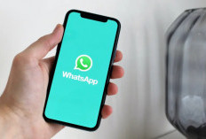 Cara Tampilkan Status Online WA, Kini Pakai Fitur Titik Hijau