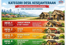 Cara Mudah Mengecek Desil Ekonomi secara Mandiri