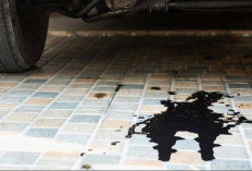 Cara Menghilangkan Noda Oli di Lantai Garasi