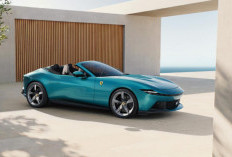 Ferrari Amalfi Spider Meluncur, V8 640 HP