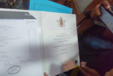Syarat dan Cara Penyetaraan Ijazah Luar Negeri Secara Online