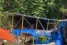 Aktivitas Tambang Tradisional Libatkan 200 Pekerja per Hari, Ini Sikap Pemdes Lebong Tambang