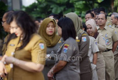 Permendagri Nomor 6 Tahun 2026: Status Pekerjaan PNS dan PPPK di KTP Kini Melebur Jadi ASN