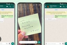 Cara Mudah Memprivatekan Foto Profil WhatsApp