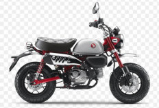 Honda Monkey 2026 Makin Menggoda! Dibanderol Rp88 Jutaan