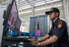 Mau Mudik dari Luar Negeri? Ini Daftar Barang yang Wajib Masuk Jalur Merah Bea Cukai