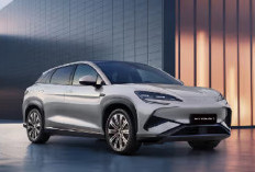 Daftar Harga Mobil BYD SUV Listrik di Indonesia 2026