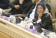 Menteri PANRB: WFH ASN Hemat Anggaran Perjalanan Dinas hingga Rp1,95 Triliun