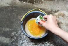 Cara Membuat Pupuk Organik Cair Plus Pestisida Alami dari Bahan Dapur