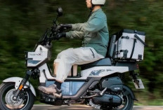 Honda Square X125: Skuter Matik Adventure Sudah Dibekali Rak