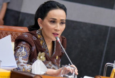 DPR Wanti-wanti Pemerintah Soal Akuntabilitas New Media Forum dan 'Homeless Media'