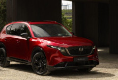 Mazda CX-5 Generasi Ketiga Diserbu Jepang, Varian Tertinggi