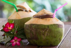 3 Khasiat Minum Air Kelapa, Baik untuk Penderita Diabetes