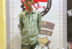 Satresnarkoba Polres Lebong Ungkap Kasus Narkoba, Sabu dan Ganja Disita dari Tersangka