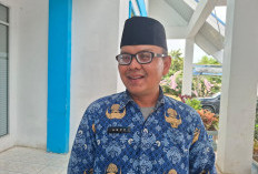 PAD Wisata Pulau Harapan Tak Pernah Ada Realisasi, Ini Wacana Disparpora Lebong Tahun 2026