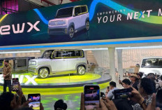Intip Kecanggihan Mobil Listrik Suzuki EWX