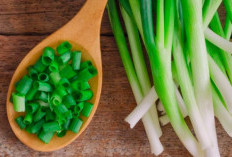 Intip 4 Manfaat Daun Bawang yang Jarang Diketahui, Ampuh Turunkan Kolesterol!