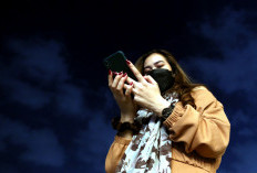 WhatsApp Menyiapkan Sistem Terjemahan Otomatis di Dalam Chat