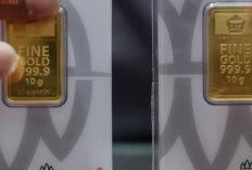Harga Emas Hari Ini Minggu 8 Februari 2026 Menguat: Update Lengkap Antam, UBS, Galeri 24, Cukim & Emas Perhias