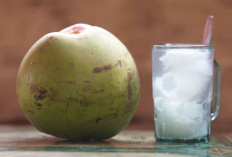 Bukan Sekadar Penghilang Dahaga, Air dan Daging Kelapa Punya Khasiat Tak Terduga!