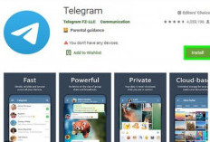 Cara Melaporkan Penipuan di Telegram dengan Mudah