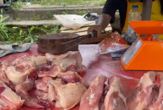 Cabai dan Bawang Turun, Daging Ayam Naik Tajam di Pasar 