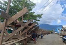 Harga Daging Sapi Tembus Rp160 Ribu Jelang Idul Fitri 1447 H