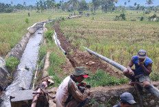 Pipa Transmisi Air Pabes Lebong Akhirnya Ditanam, Sebelumnya Sempat Dikeluhkan