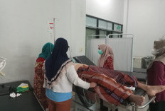 Tertimpa Pohon Tumbang di Tanjakan Rahmatilah Talang Ulu, ASN Inspektorat  Lebong Alami Luka 