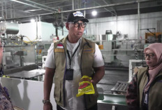 Dirut BULOG Sidak Pabrik PT KMR, MinyaKita Berbau Solar Langsung Ditarik